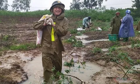 Công an dầm mưa nhổ sắn, dọn bùn giúp dân vùng lũ